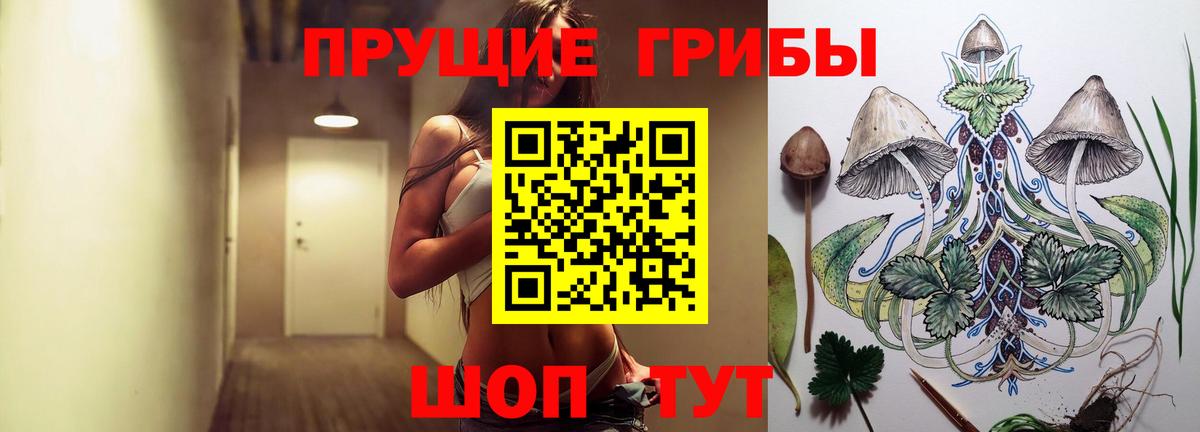 Псилоцибиновые грибы GOLDEN TEACHER  Галлюциногенные грибы мухоморы  Вход с VPN  Железноводск 